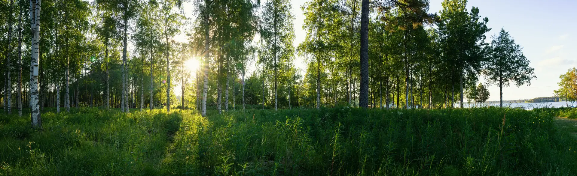 Byta FTX-aggregat Borlänge